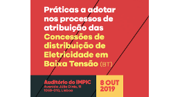 PRÁTICAS A ADOTAR NOS PROCESSOS DE ATRIBUIÇÃO DAS CONCESSÕES DE DISTRIBUIÇÃO DE ELETRICIDAD...