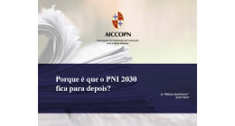 PORQUE É QUE O PNI 2030 FICA PARA DEPOIS?