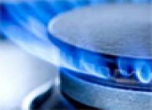 Entidades e Profissionais que Atuam na Área dos Gases Combustíveis, dos Combustíveis e de Outr...