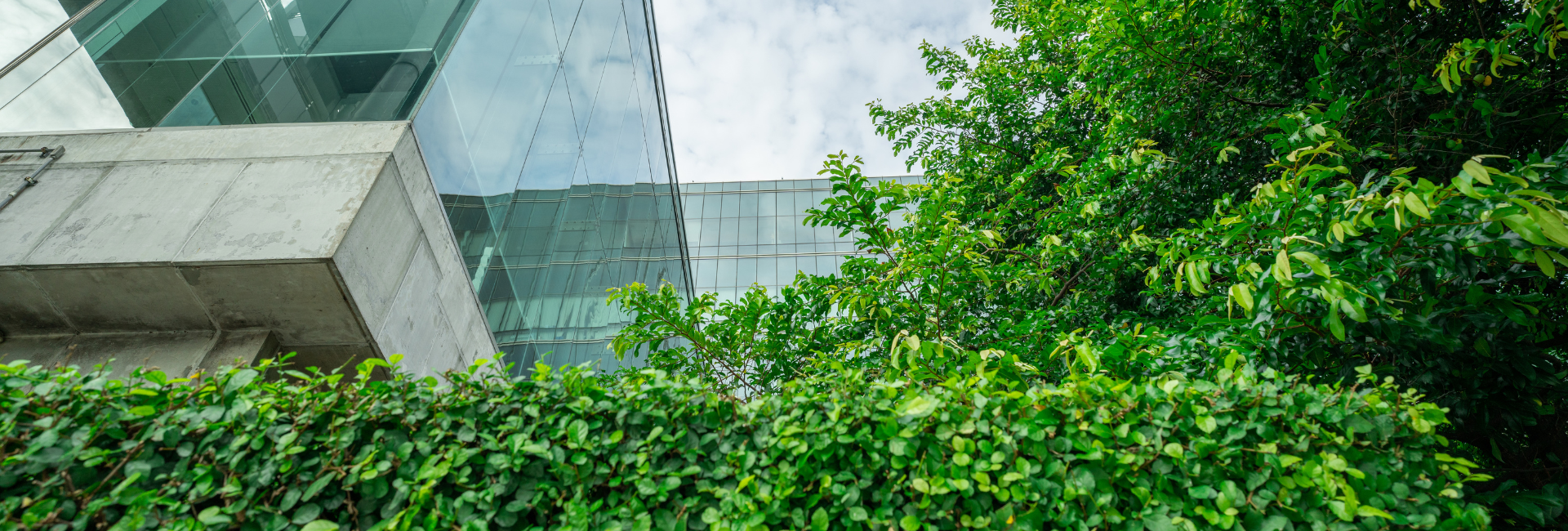 1920x650_sustentabilidade