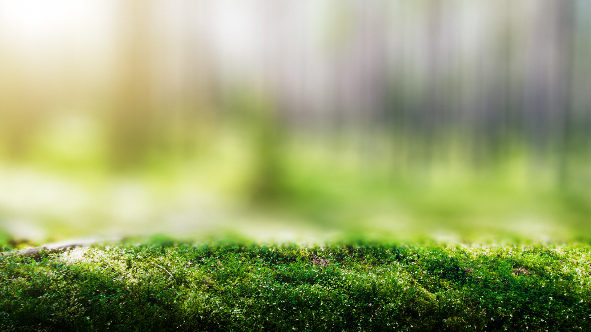 pacto ecologico
