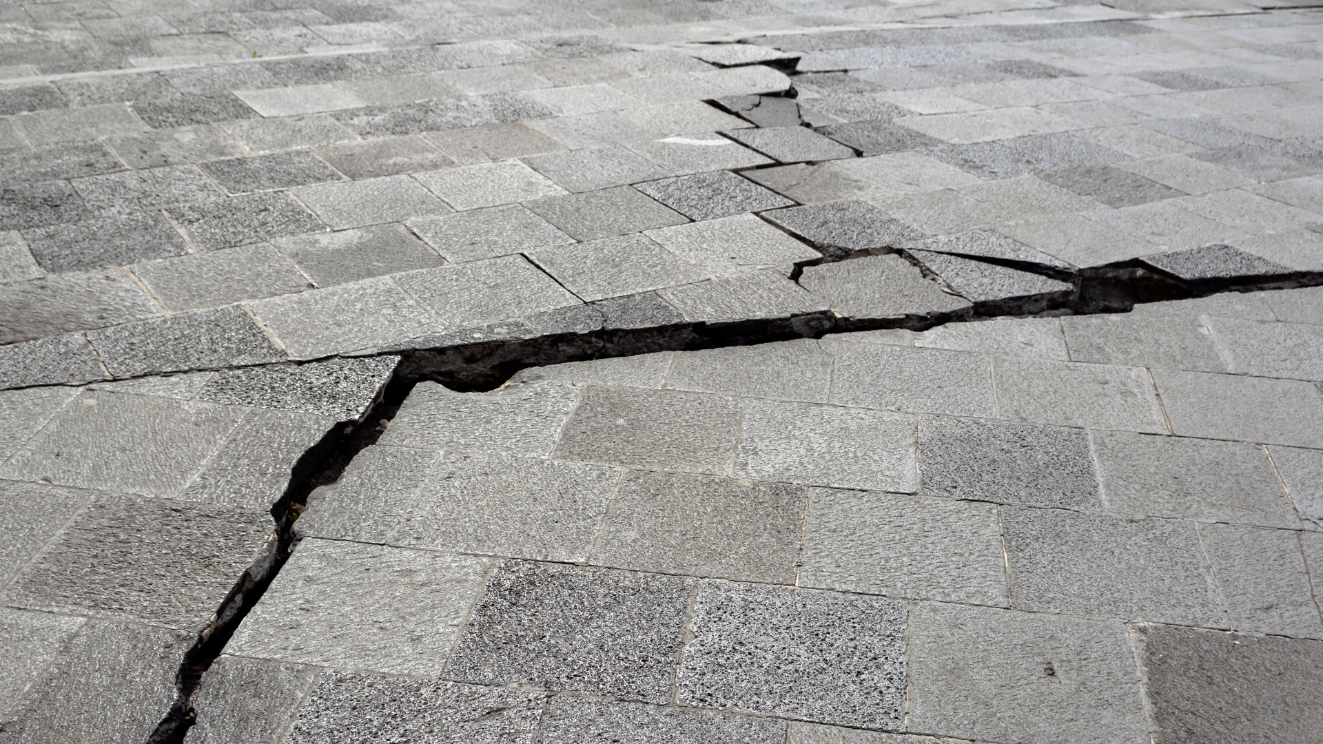 site aiccopn sismo