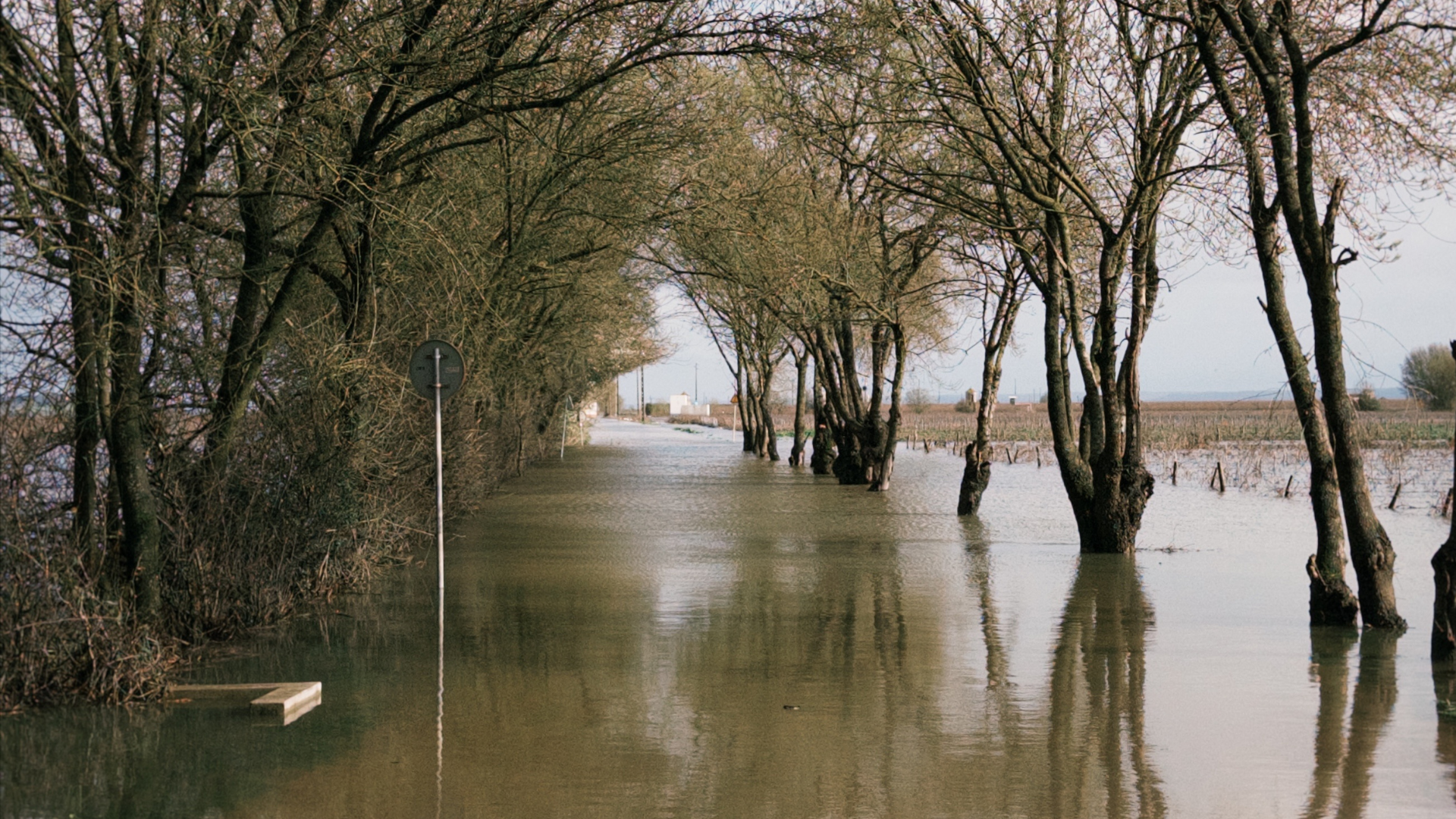 Kristin novas linhas credito