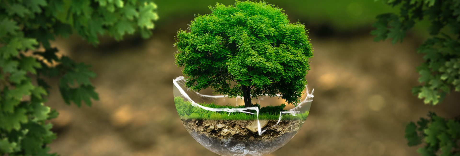 1920x650_ambiente